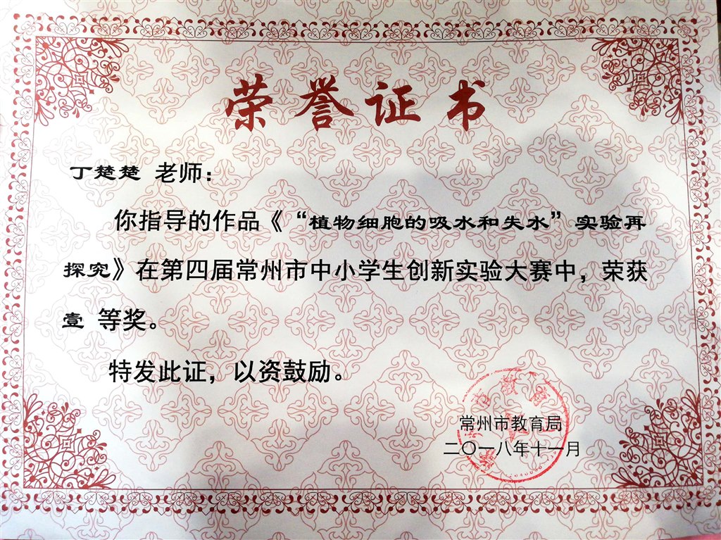 2018.11 市创新实验大赛（市级一等奖）.jpg