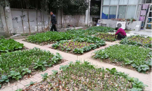 2d5b53459d1043de8f071aaae4f7fcc0.jpg 2d5b53459d1043de8f071aaae4f7fcc0.jpg