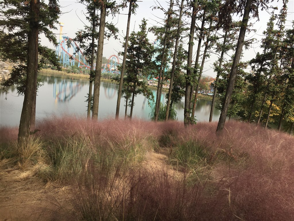 QQ图片20191031071837.jpg