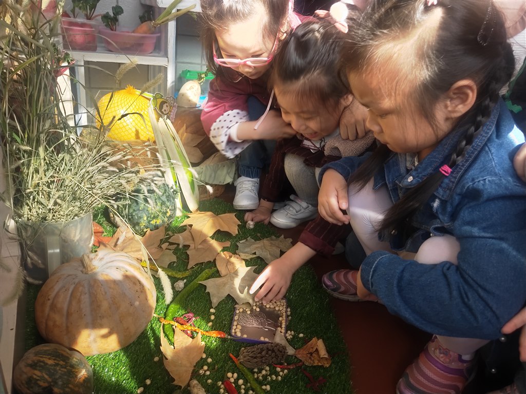IMG20191101100531.jpg