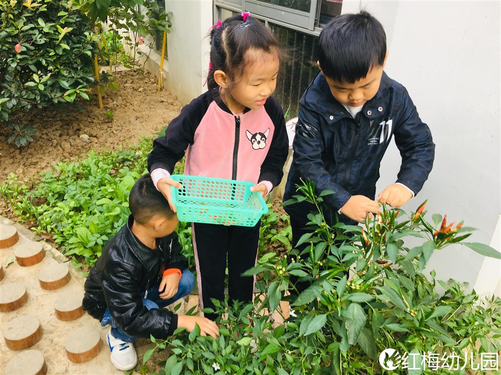 IMG_0195(20191101-121112).JPG