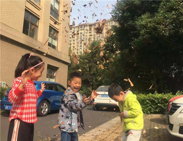 幼儿园散文诗落叶_散文诗《落叶》_ 幼儿自然教育 