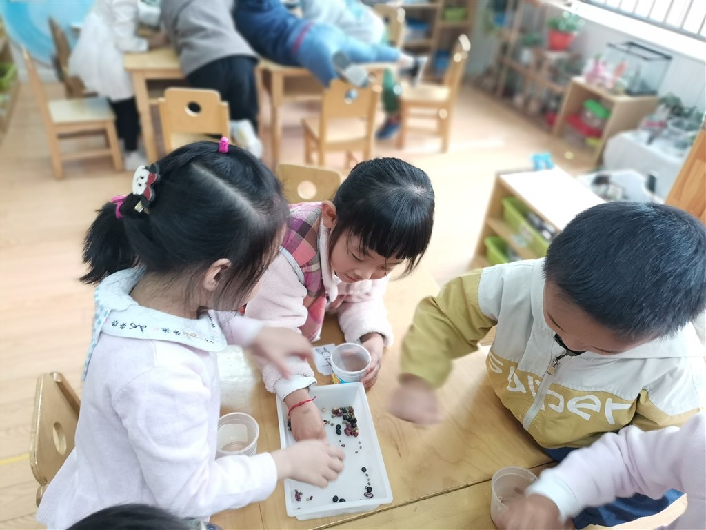 IMG_20191112_095400.jpg