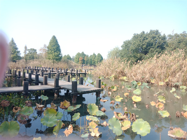 IMG20191110114936_副本.jpg