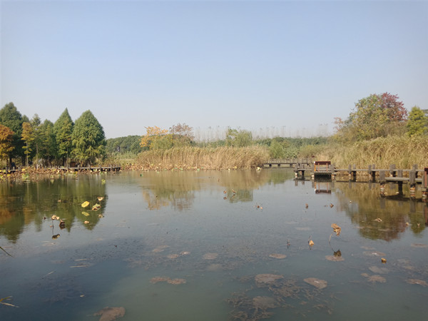 IMG20191110115136_副本.jpg