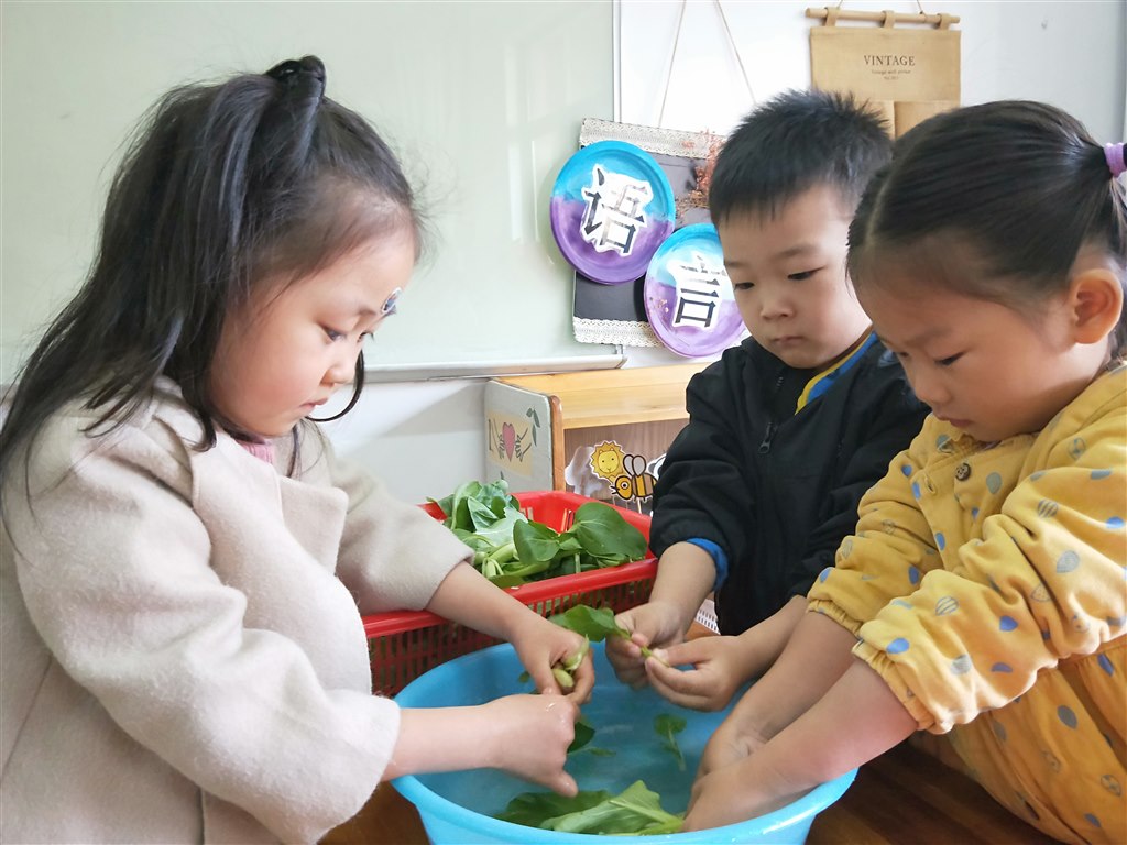 洗菜.jpg