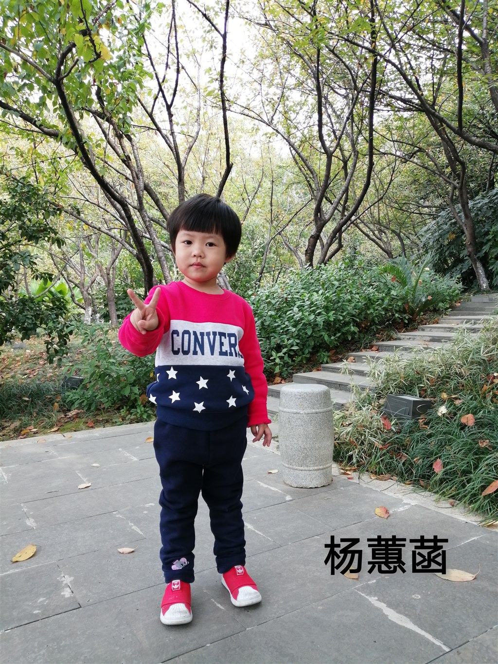 25号 杨蕙菡 (2).jpg