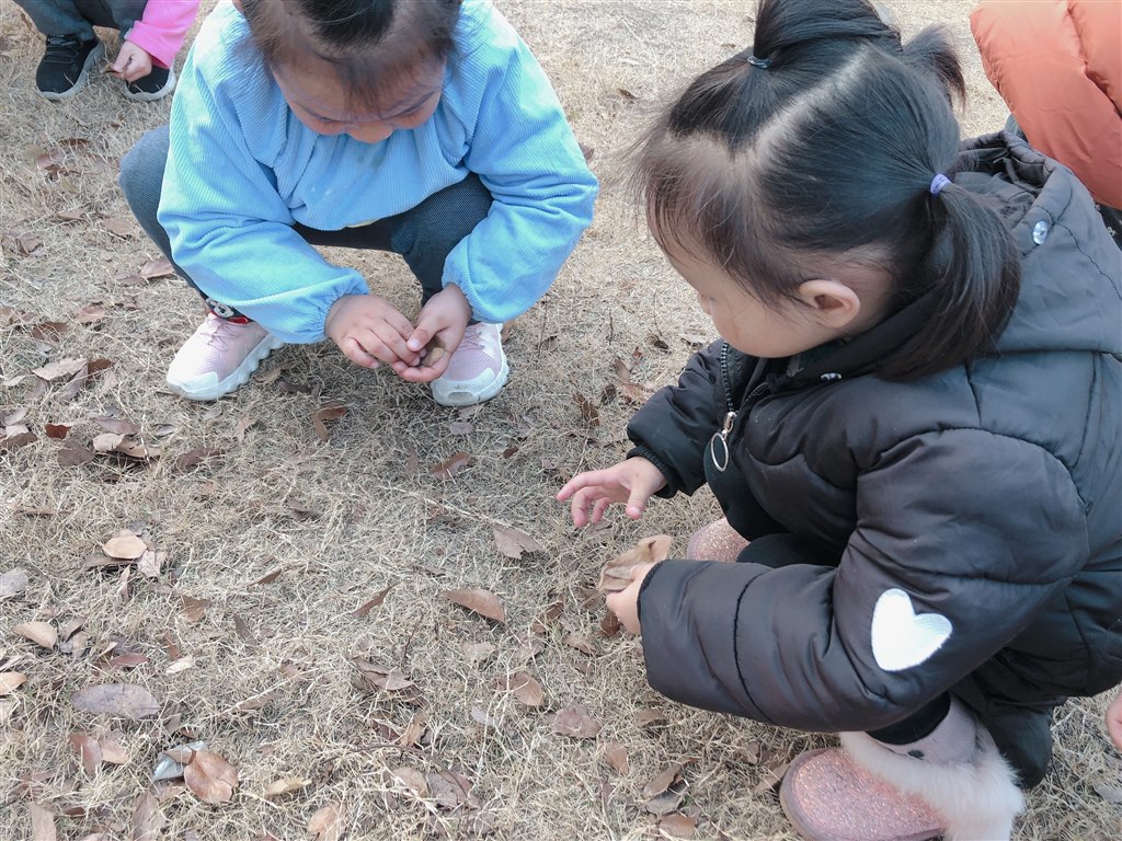 IMG_0279(20191217-235024).JPG