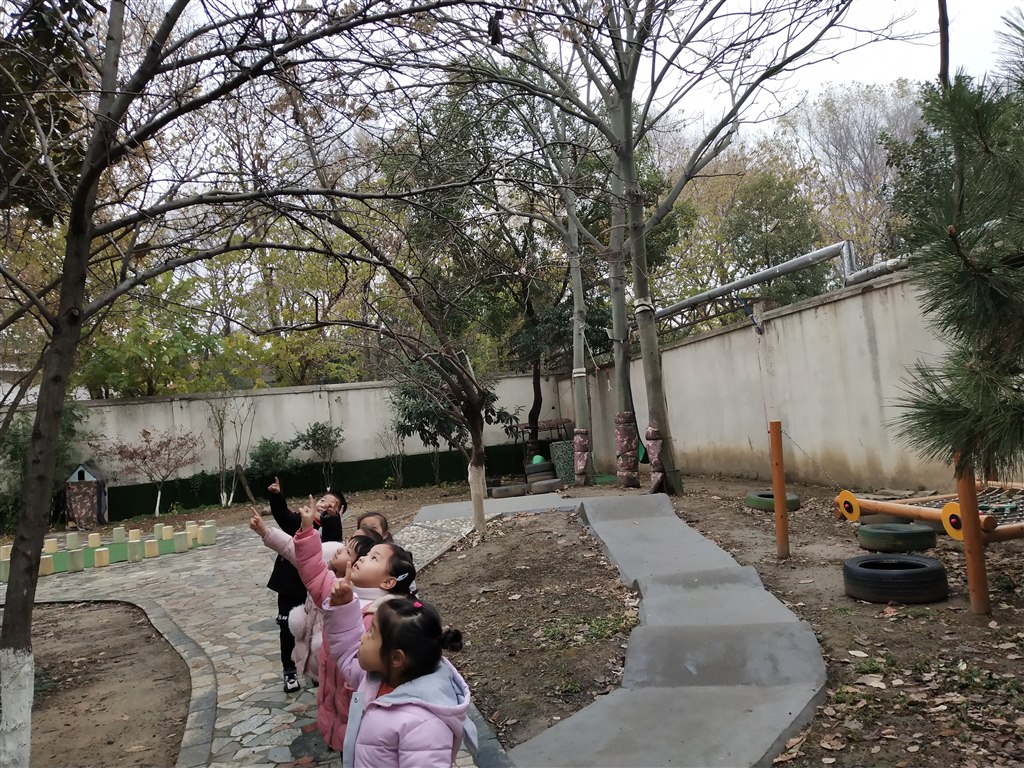 IMG_20191225_151821.jpg