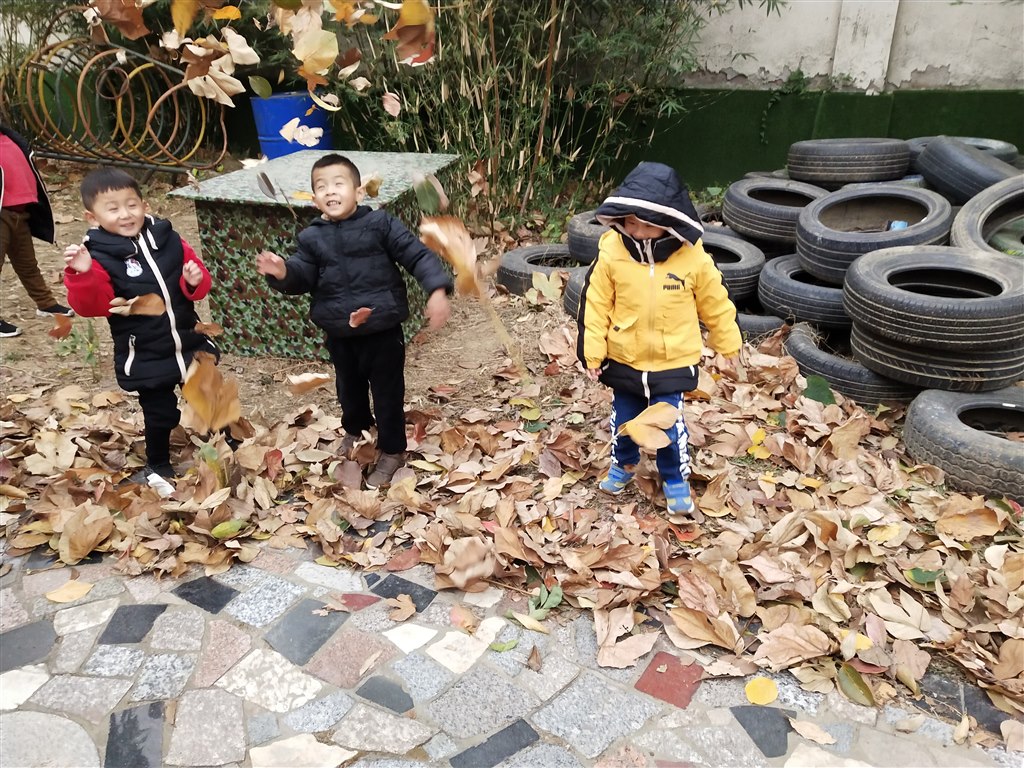 IMG_20191125_082150.jpg