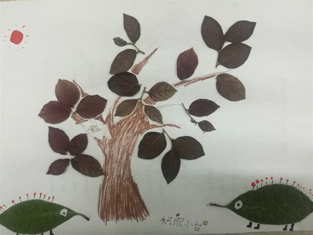 树叶贴画.jpg