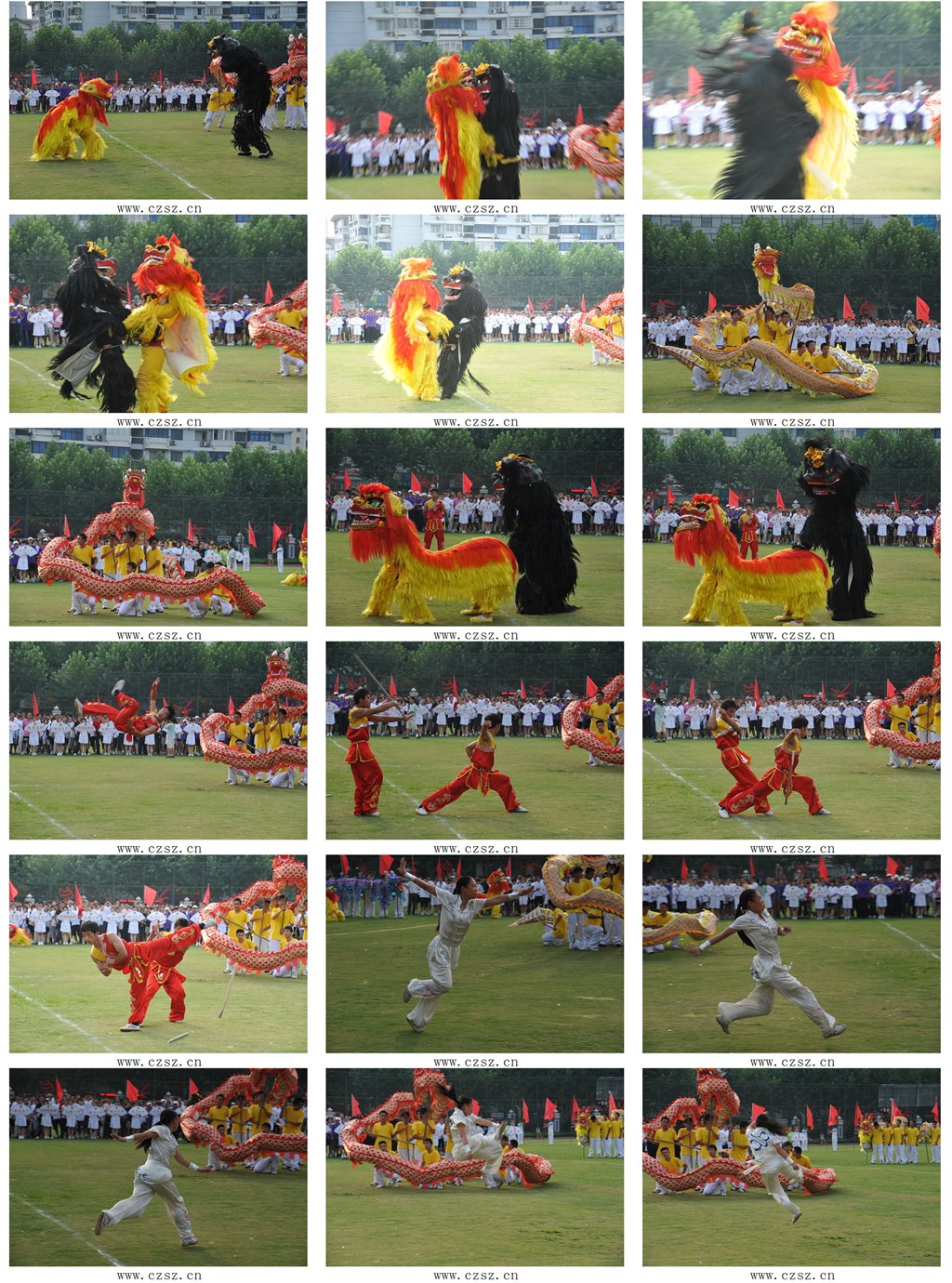 sd4.jpg