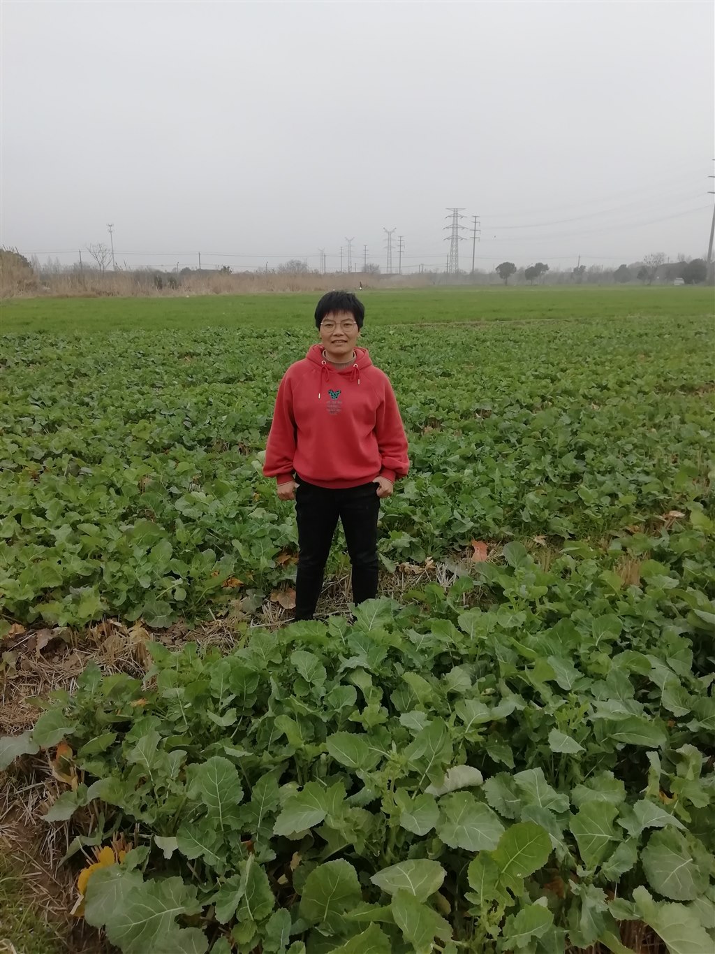QQ图片20200213131247.jpg