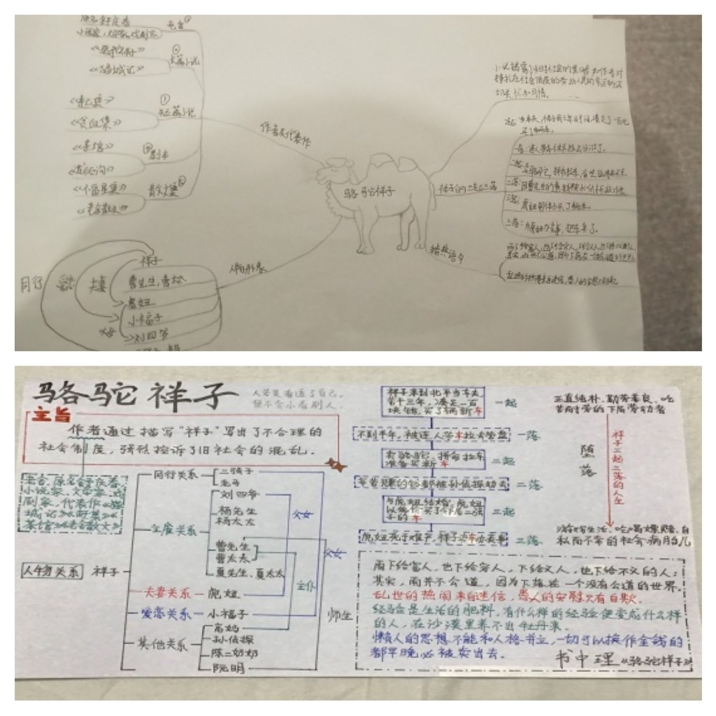 D24519E9CF9DBD83801D0DC00620E673.JPG