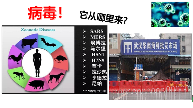 陈苏妮PPT.png