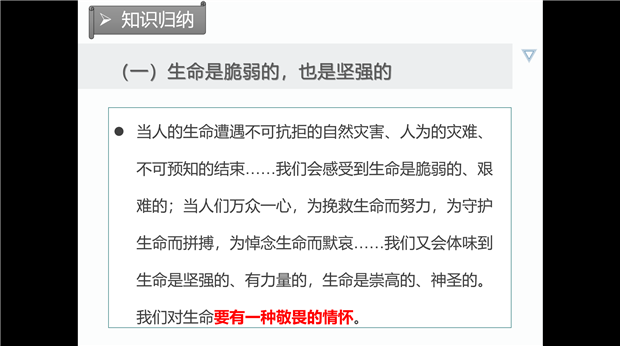 陈菲PPT.png