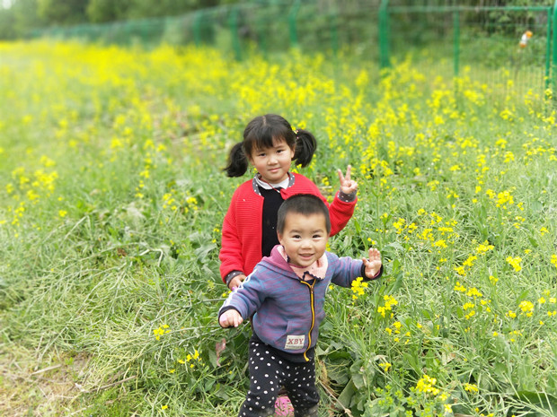 2_副本 - 副本.jpg