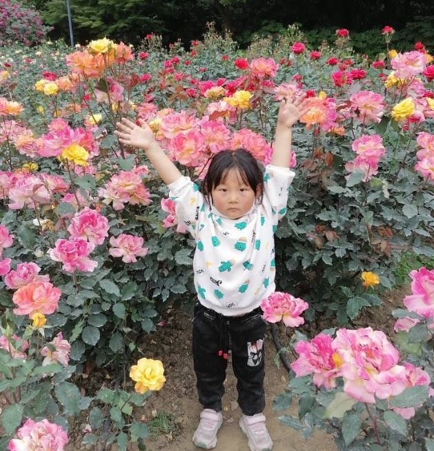 IMG_7251(20200505-133226).JPG IMG_7251(20200505-133226).JPG