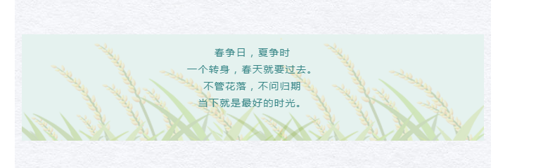 12 - 副本.png