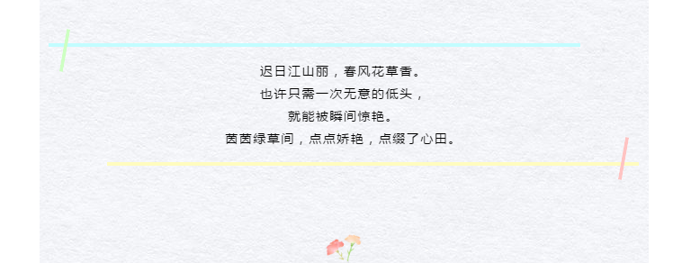 05 - 副本.png