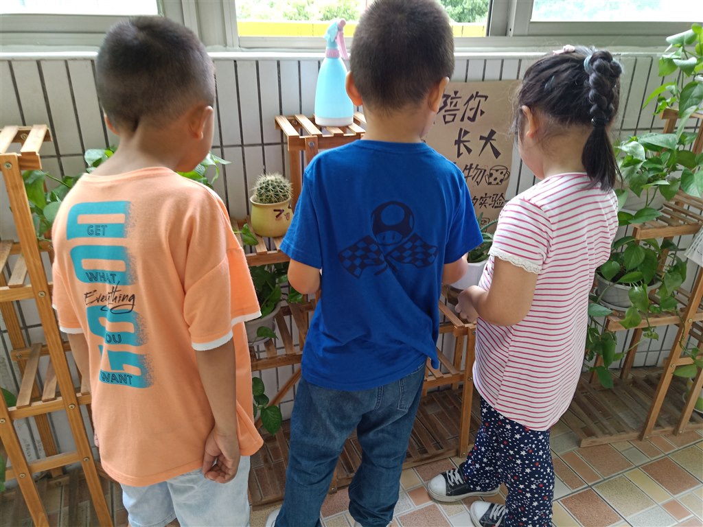 IMG20200603103845.jpg IMG20200603103845.jpg