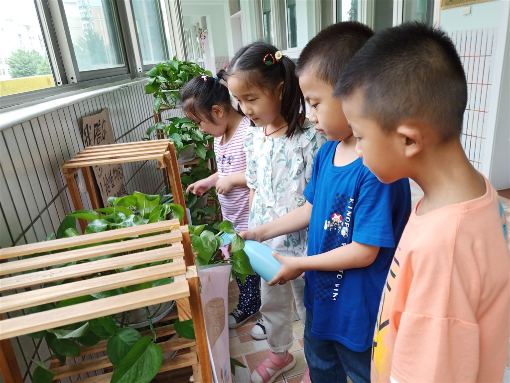 IMG20200603103811.jpg IMG20200603103811.jpg