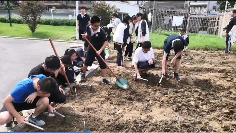 QQ图片20200613170747.png