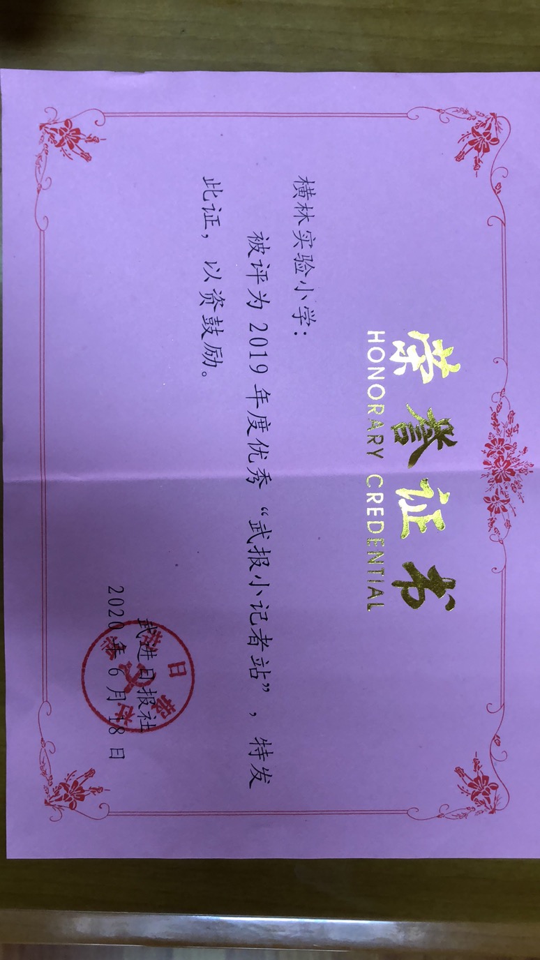 2019年度优秀武报小记者站.jpg
