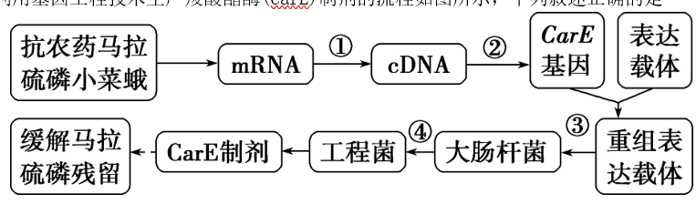 F29]AD][IL~8IKZW)~8}(7I.png