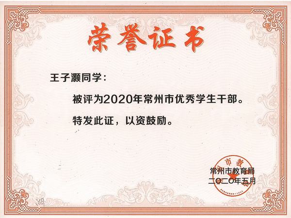 2020.5.市优秀学生干部、王子灏.jpg