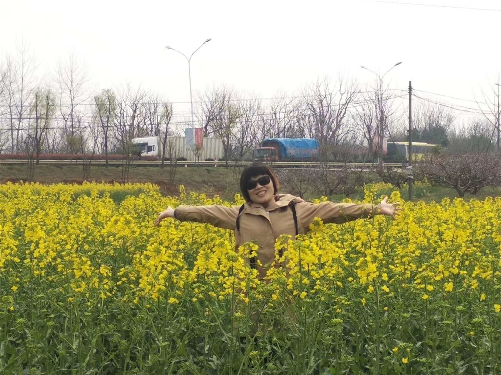 杨.jpg