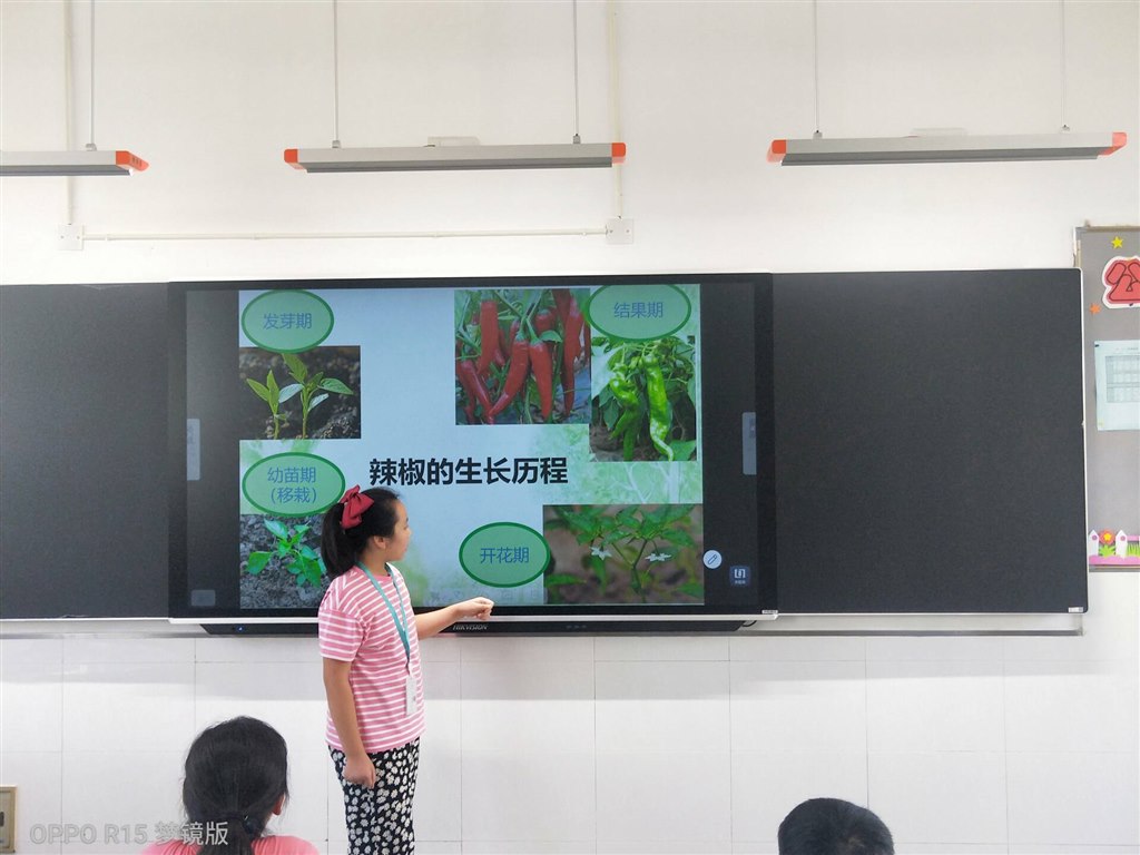 图片7.jpg