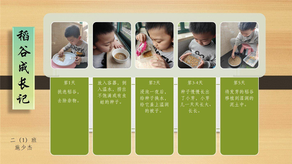 图片8.png