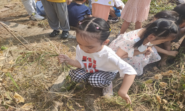 IMG20200909101557.jpg