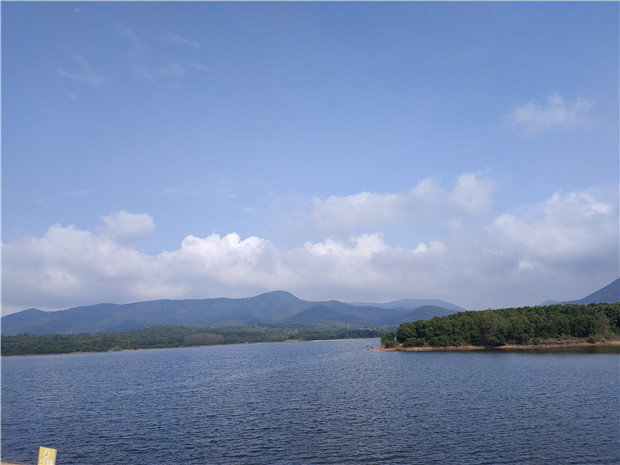 IMG20200912083119.jpg