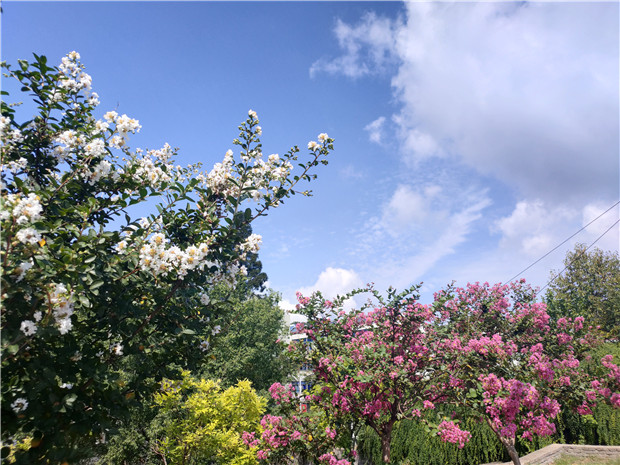 IMG20200912100601.jpg