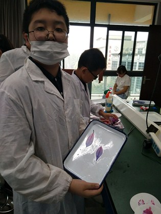 图片9 (复制).jpg