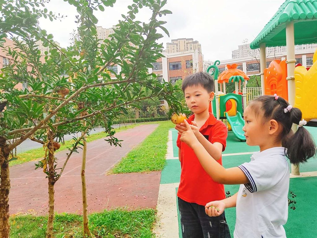 微信图片_20200916093234.jpg