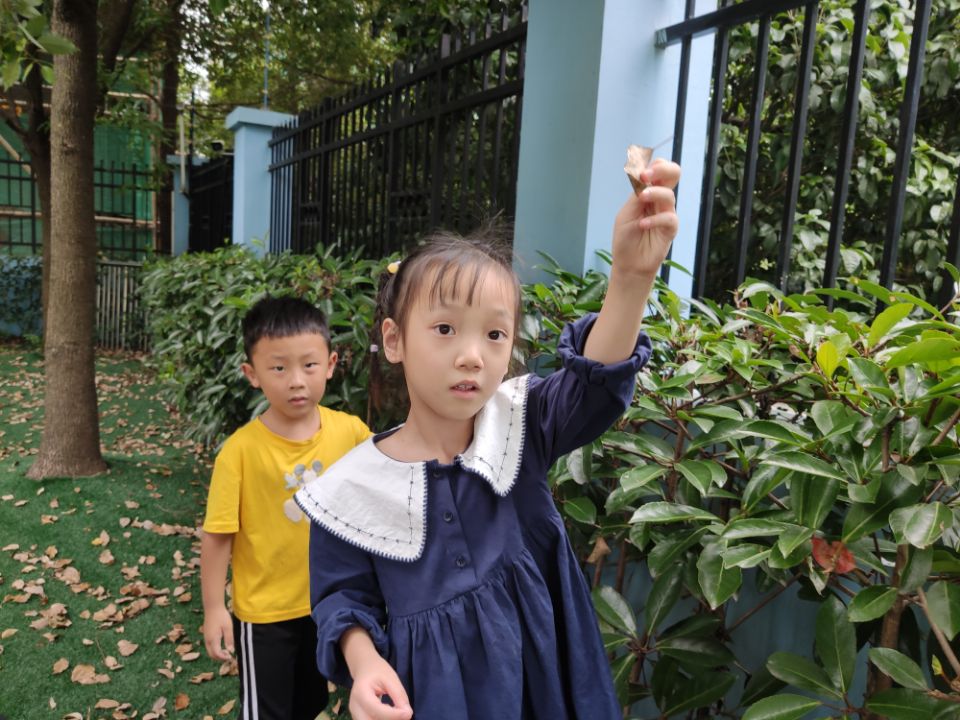 QQ图片20200927123522.jpg