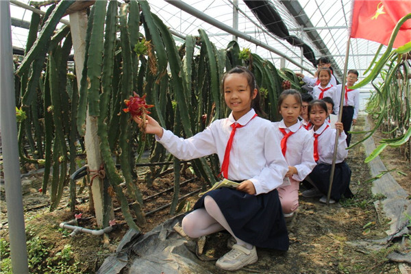 洛小日新娃开展小康寻“宝”寻访活动 (5).jpg