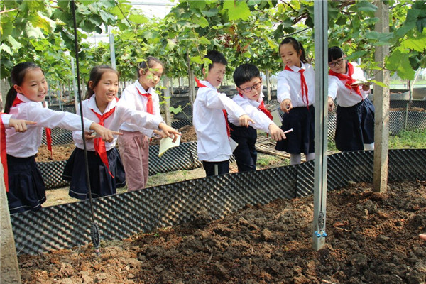 洛小日新娃开展小康寻“宝”寻访活动 (11).jpg