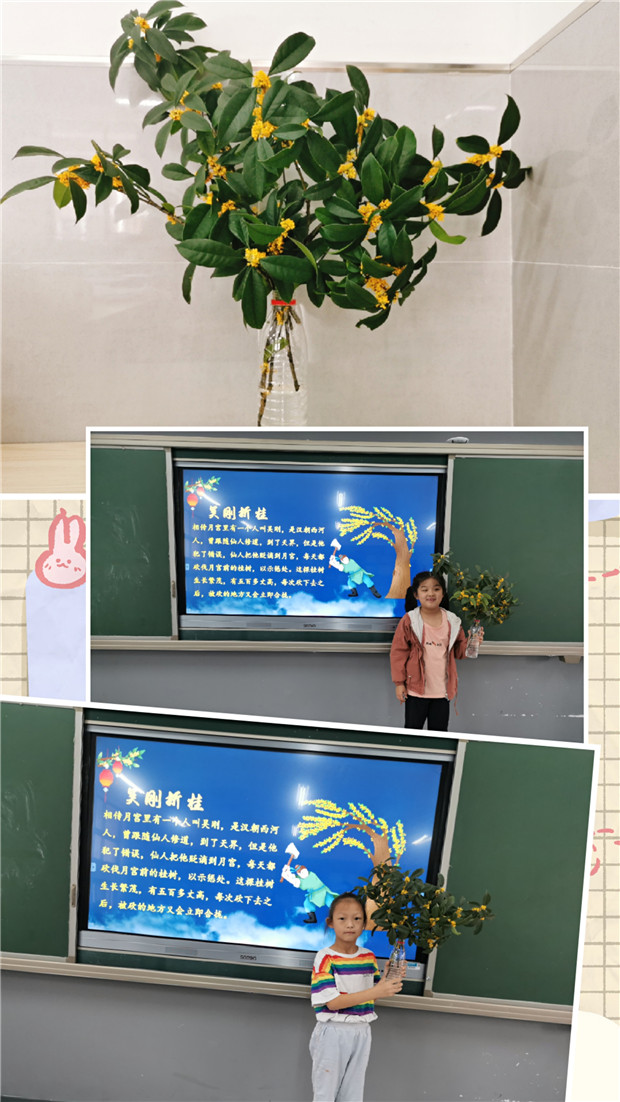 图9.jpg