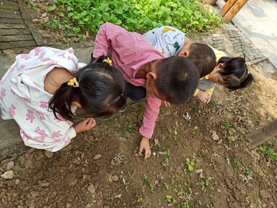 QQ图片20201016130339.jpg