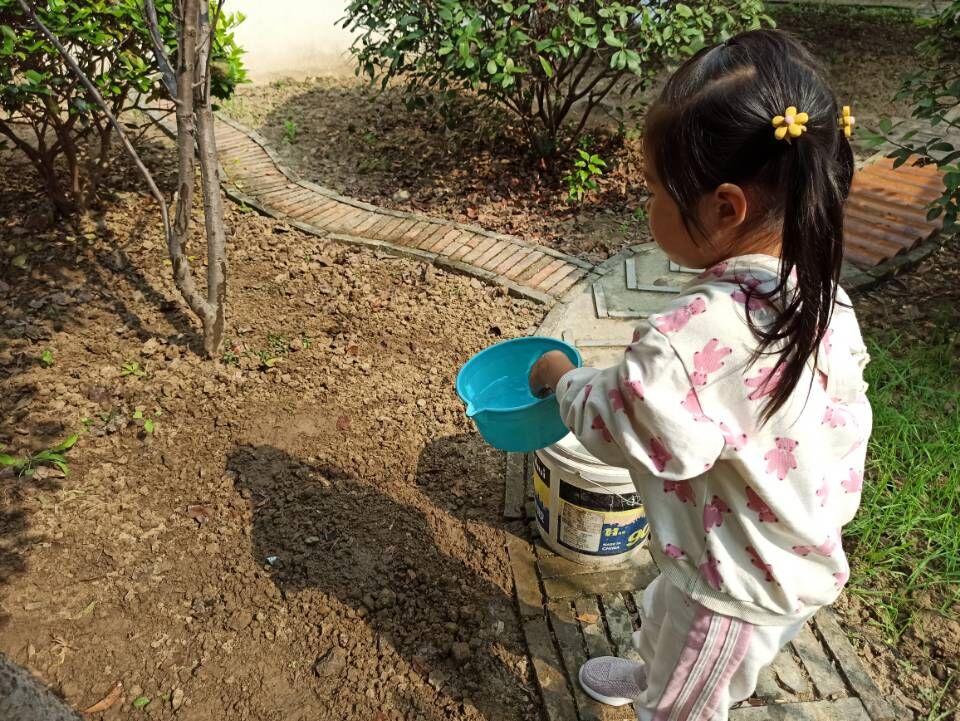QQ图片20201016130325.jpg