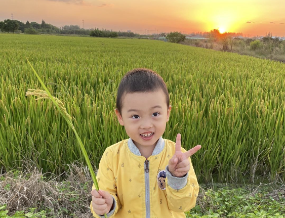 和幼丰收篇（3）.png