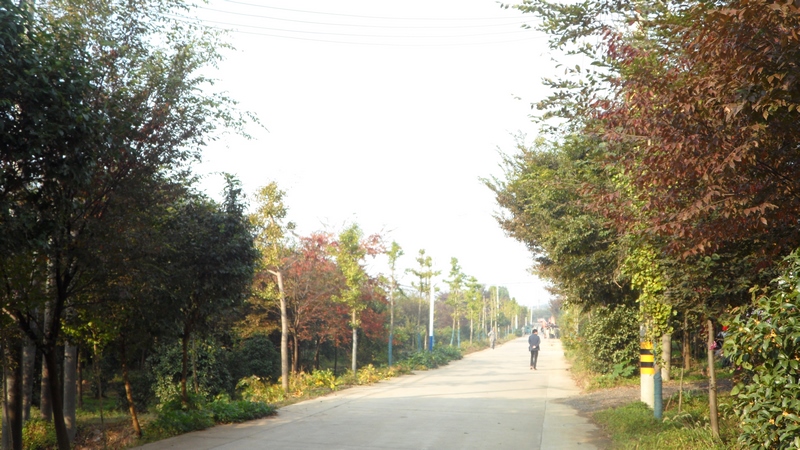 SAM_3143 (复制).JPG