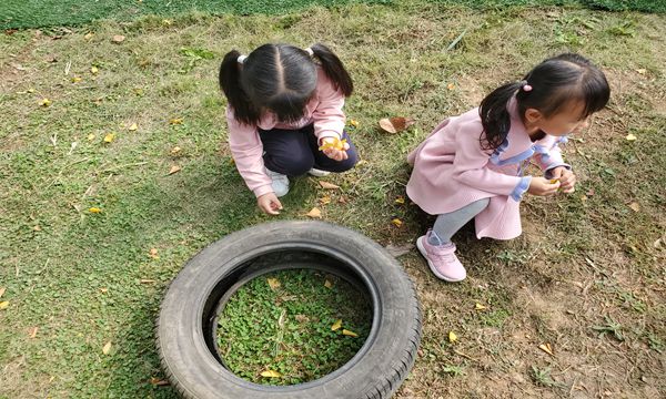20201020_114453.jpg