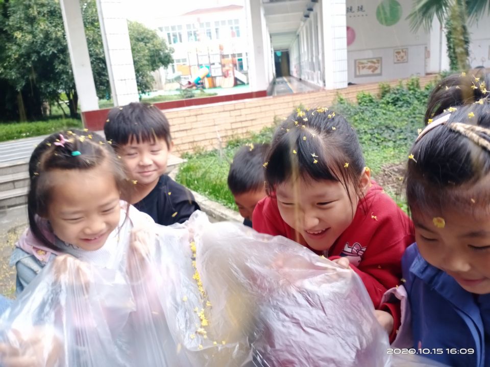 QQ图片20201015165416.jpg