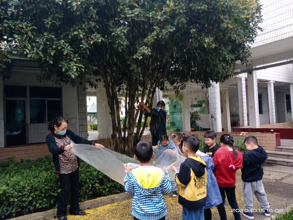 QQ图片20201015165436.jpg