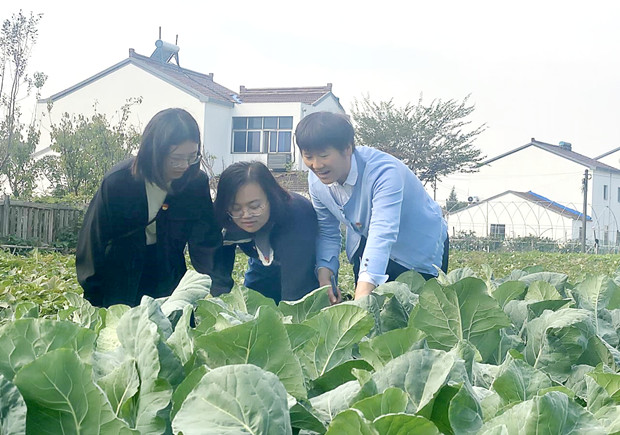 QQ图片20201025214816_副本.jpg